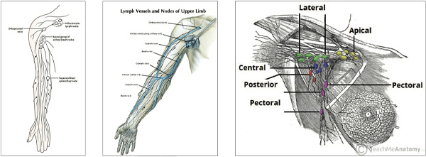 Lymphatic-Sentinel-Lymph Node-Scintigraphy