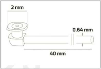 Ophthalmology